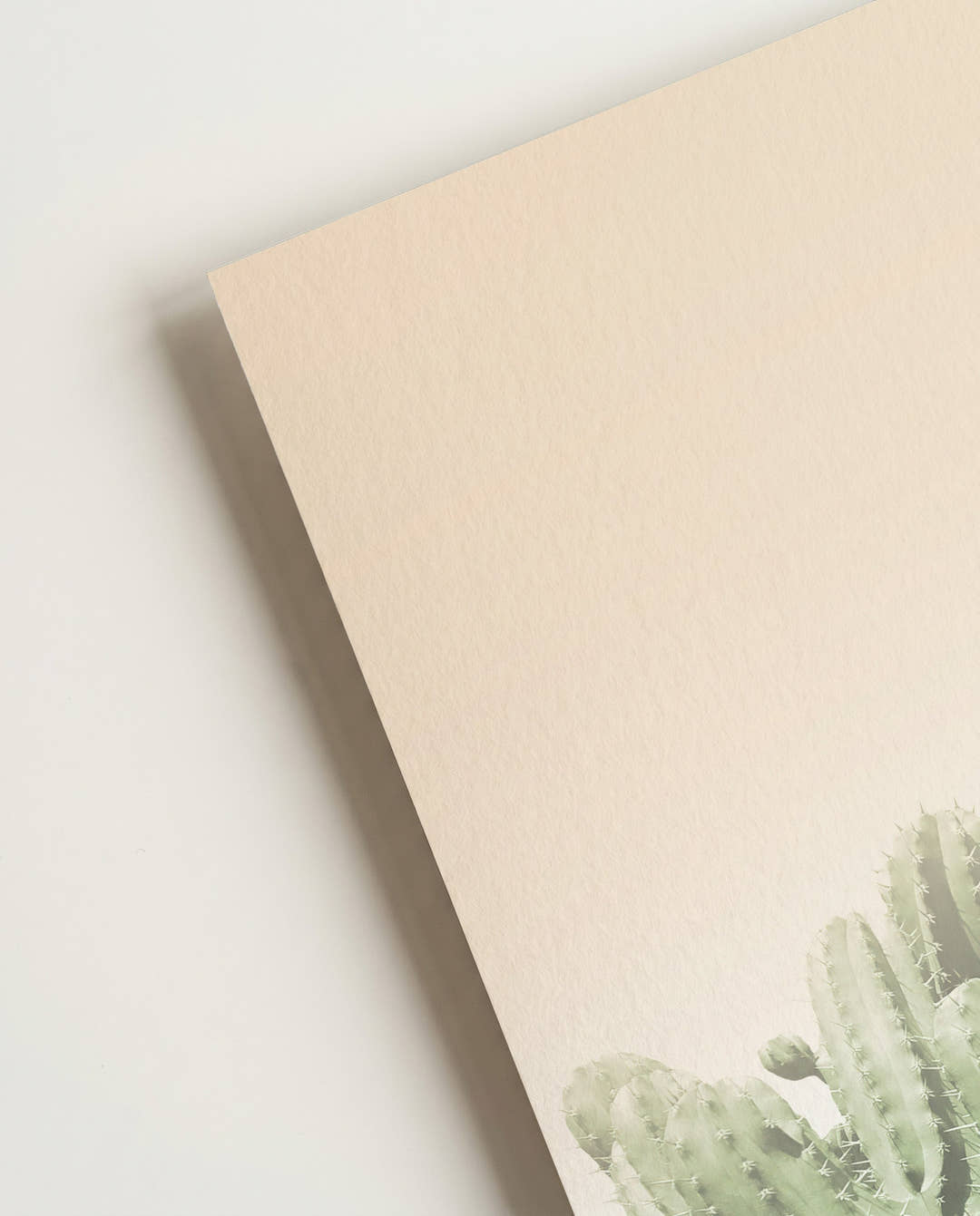 Grünes Kaktus Poster – Soft Green Cactus Field