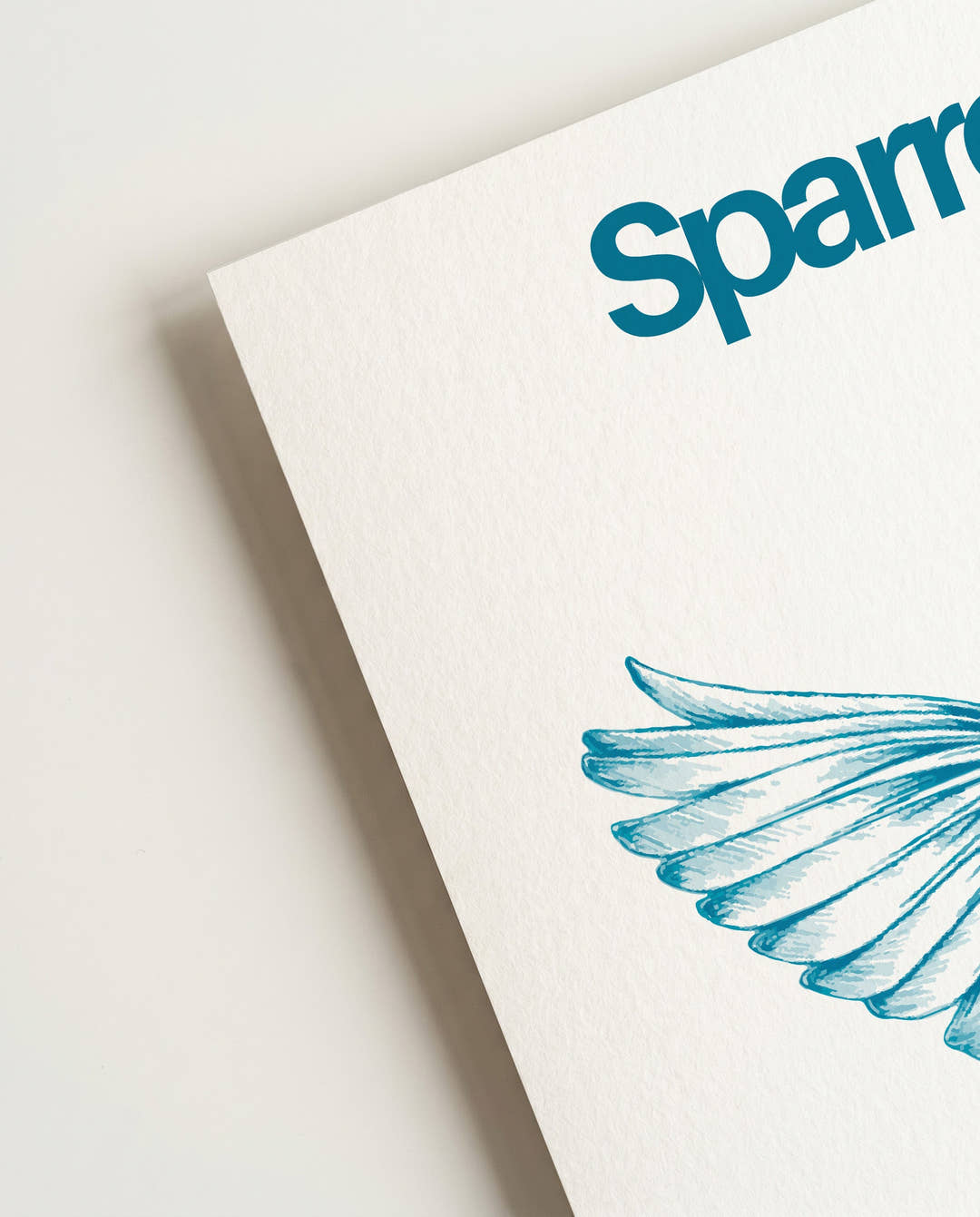 Sparrow | Bird Illustration Poster