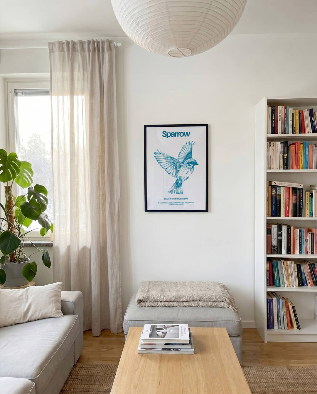 Sparrow | Bird Illustration Poster