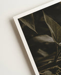 Sunflower | Nature Photography Poster