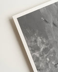 Swimming | Nature Photography Poster