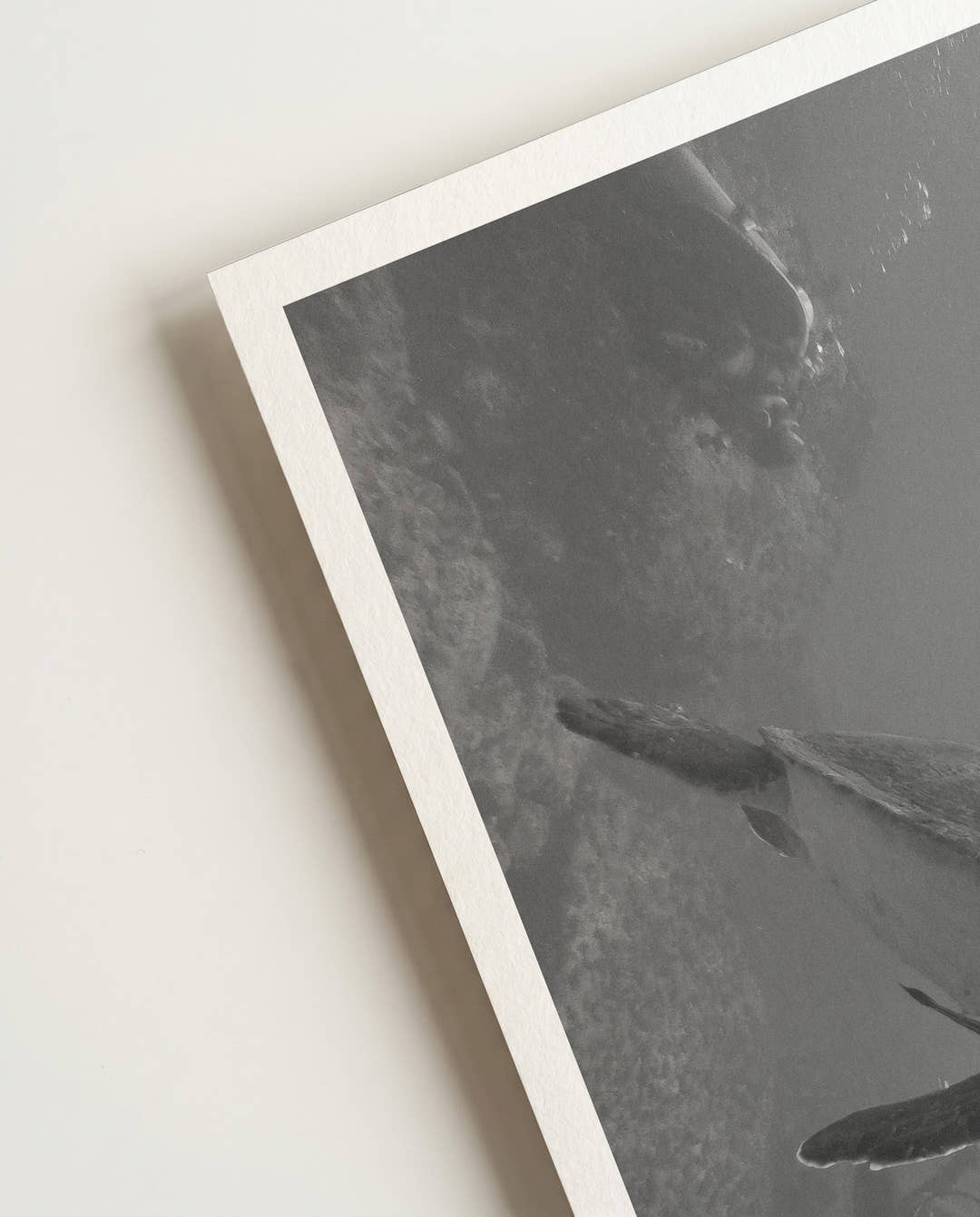 Turtle | Nature Photography Poster