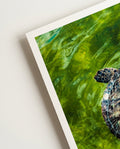 Turtle No2 | Nature Photography Poster