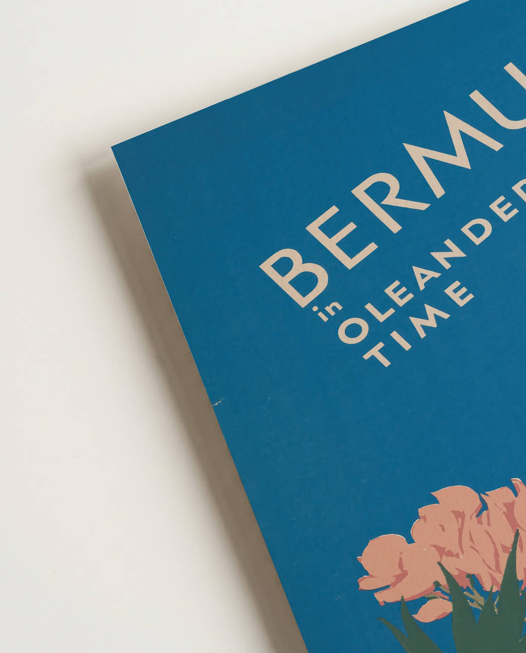 Tropisches Bermuda Blumen Poster – Bermuda