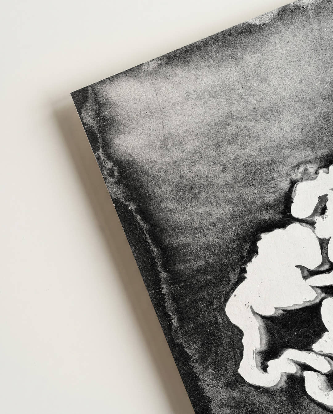 Künstlerisches Schwarz Weiß Blumenposter – Dark Flower