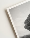 fighting tree | Nature Photography Poster