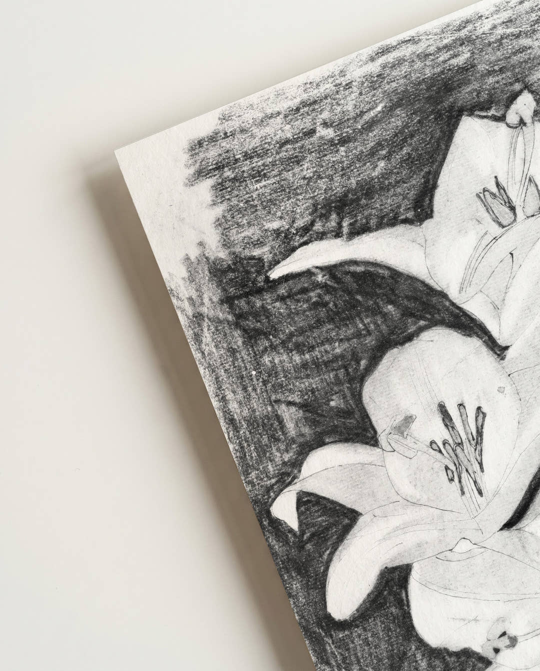 Kontrastreiches Blumenposter Schwarz Weiß – Floral Contrast