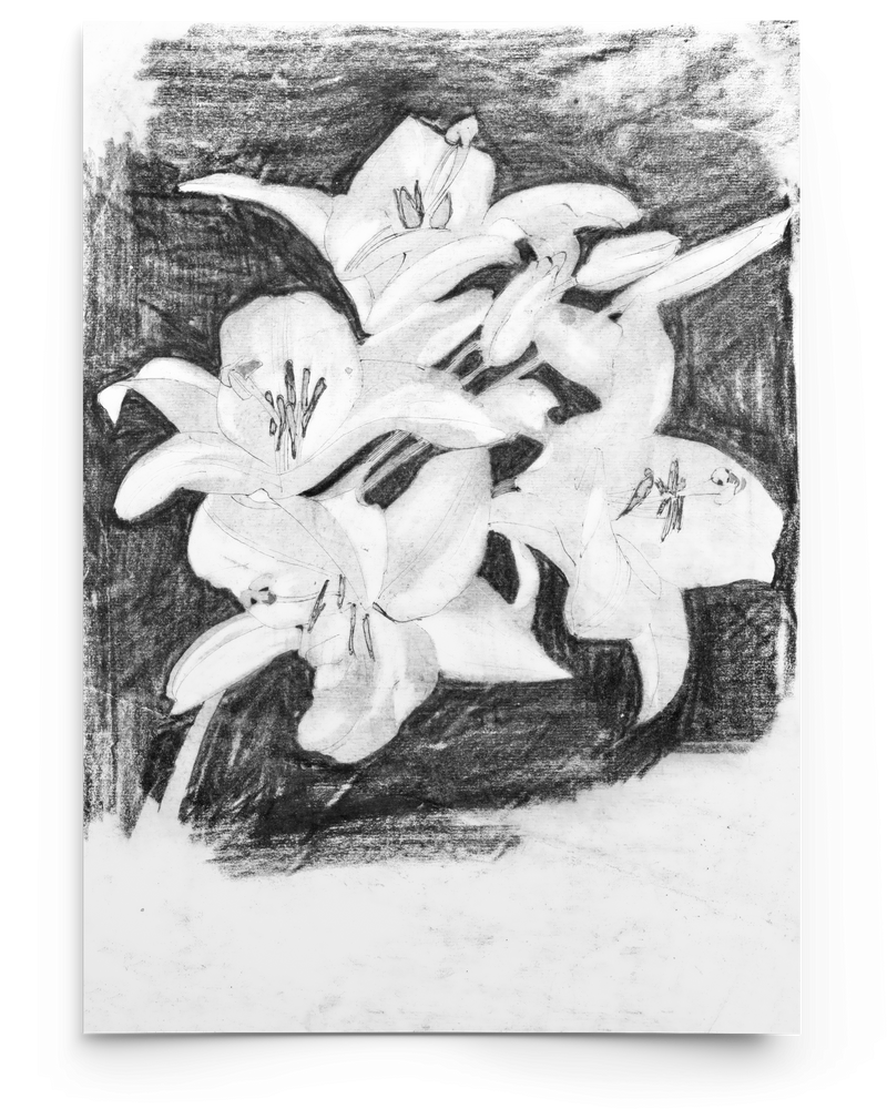 hideslider