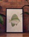 Minimalistisches Fisch Poster modern – Green Fish