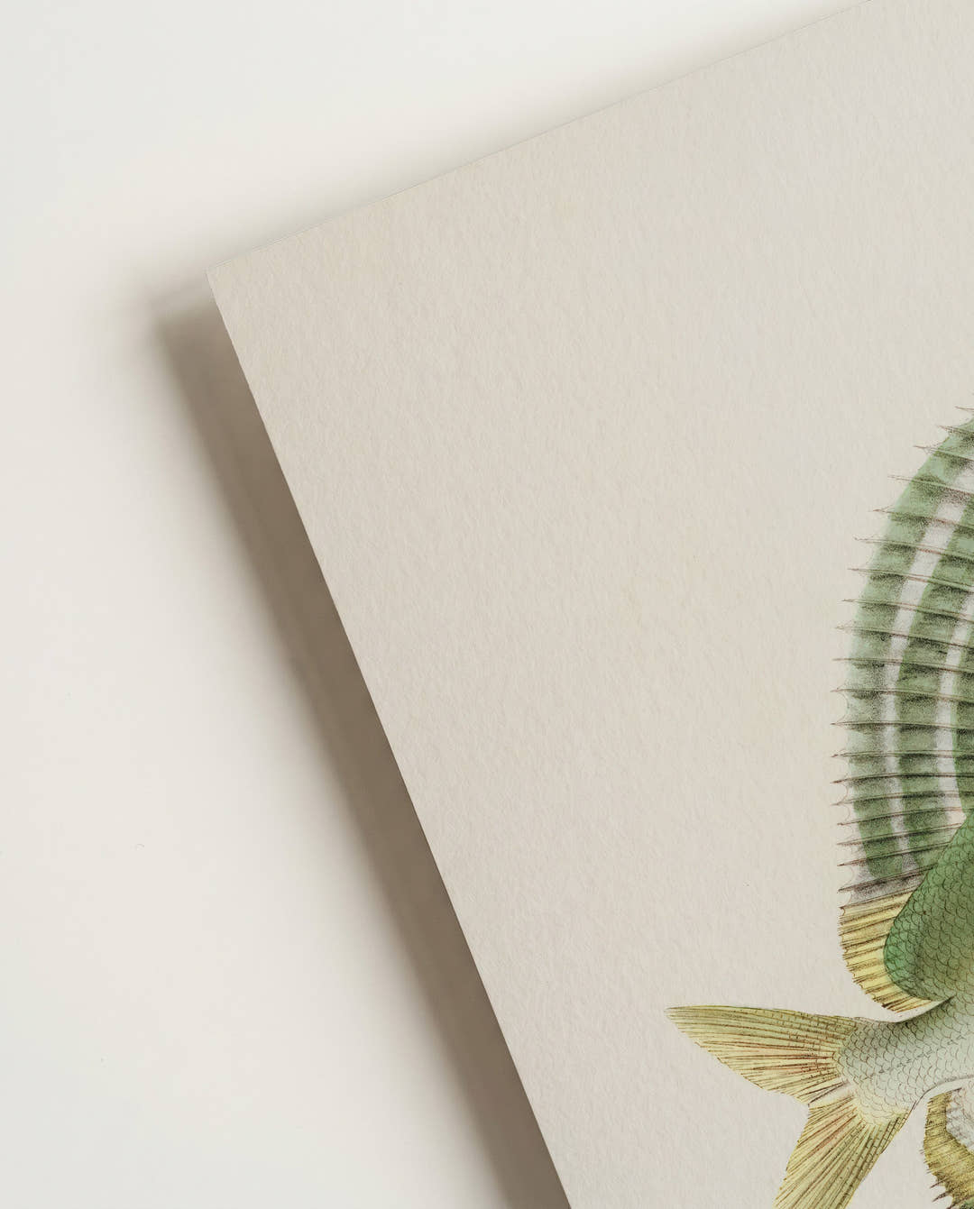 Minimalistisches Fisch Poster modern – Green Fish