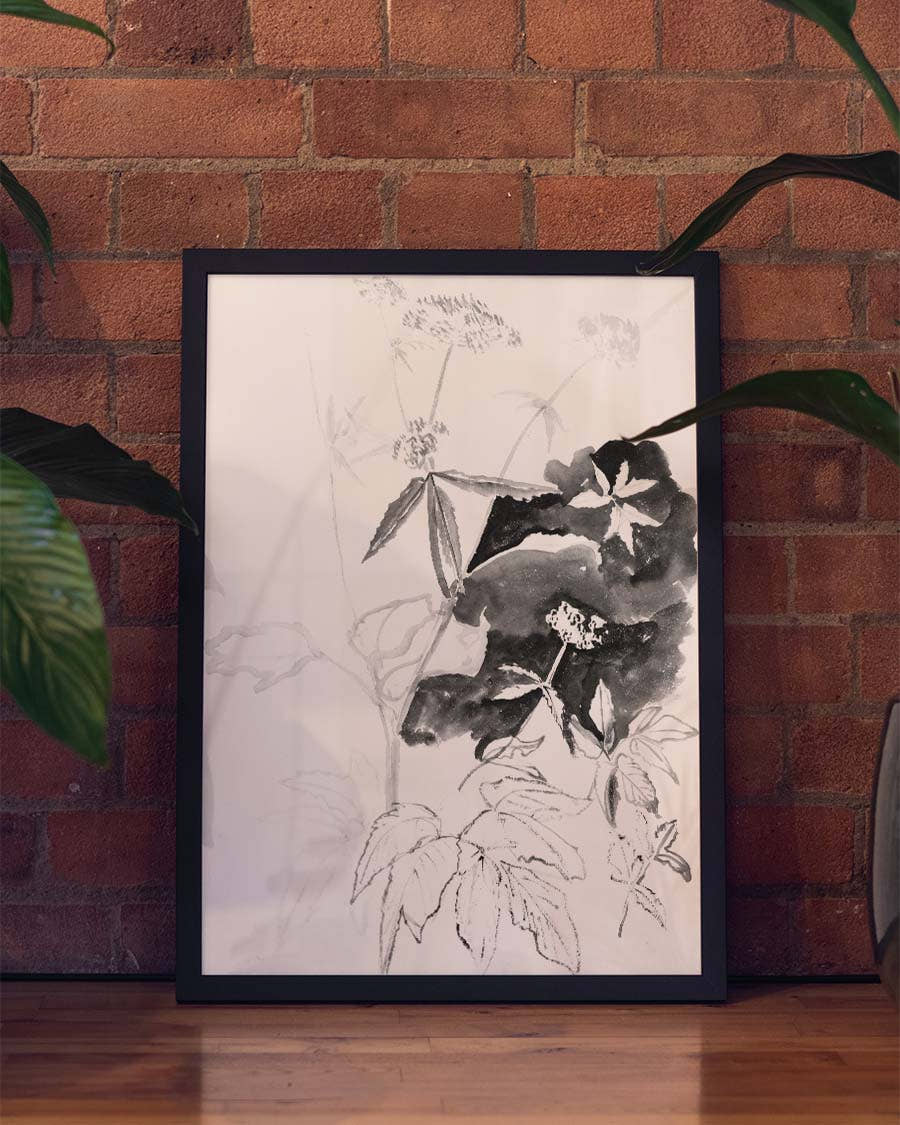 Schwarz Weiß Insekten Illustration – Ink Insect
