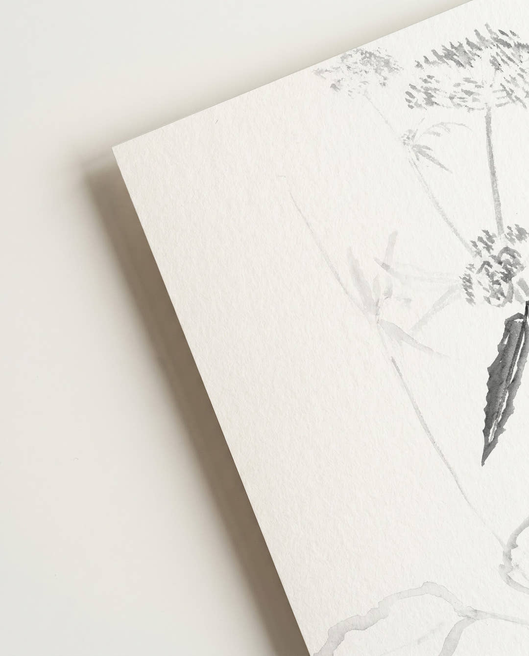 Schwarz Weiß Insekten Illustration – Ink Insect