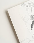 Schwarz Weiß Insekten Illustration – Ink Insect