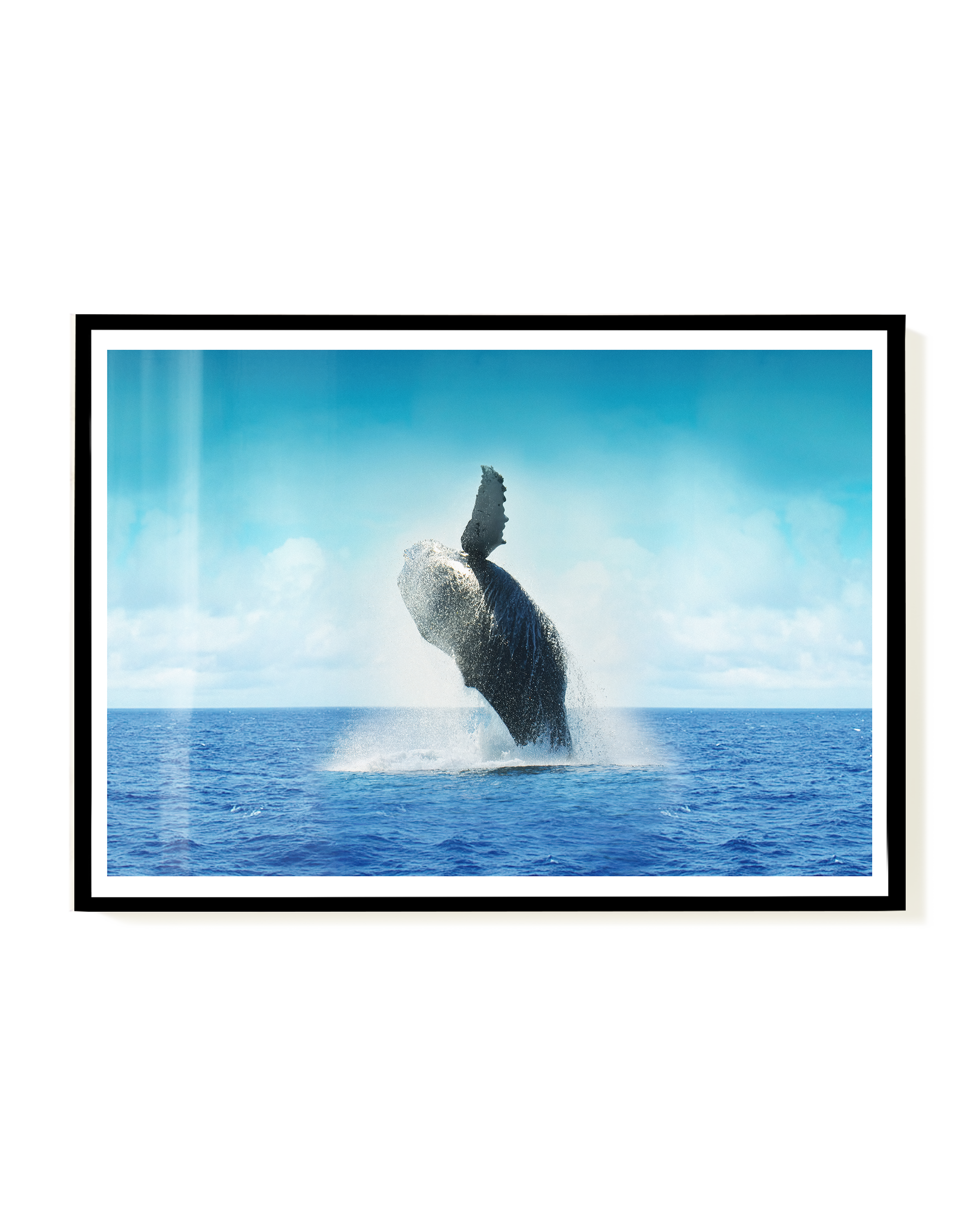 Jumping | Nature Photography Poster – Wallera®