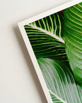 Leave | Nature Photography Poster