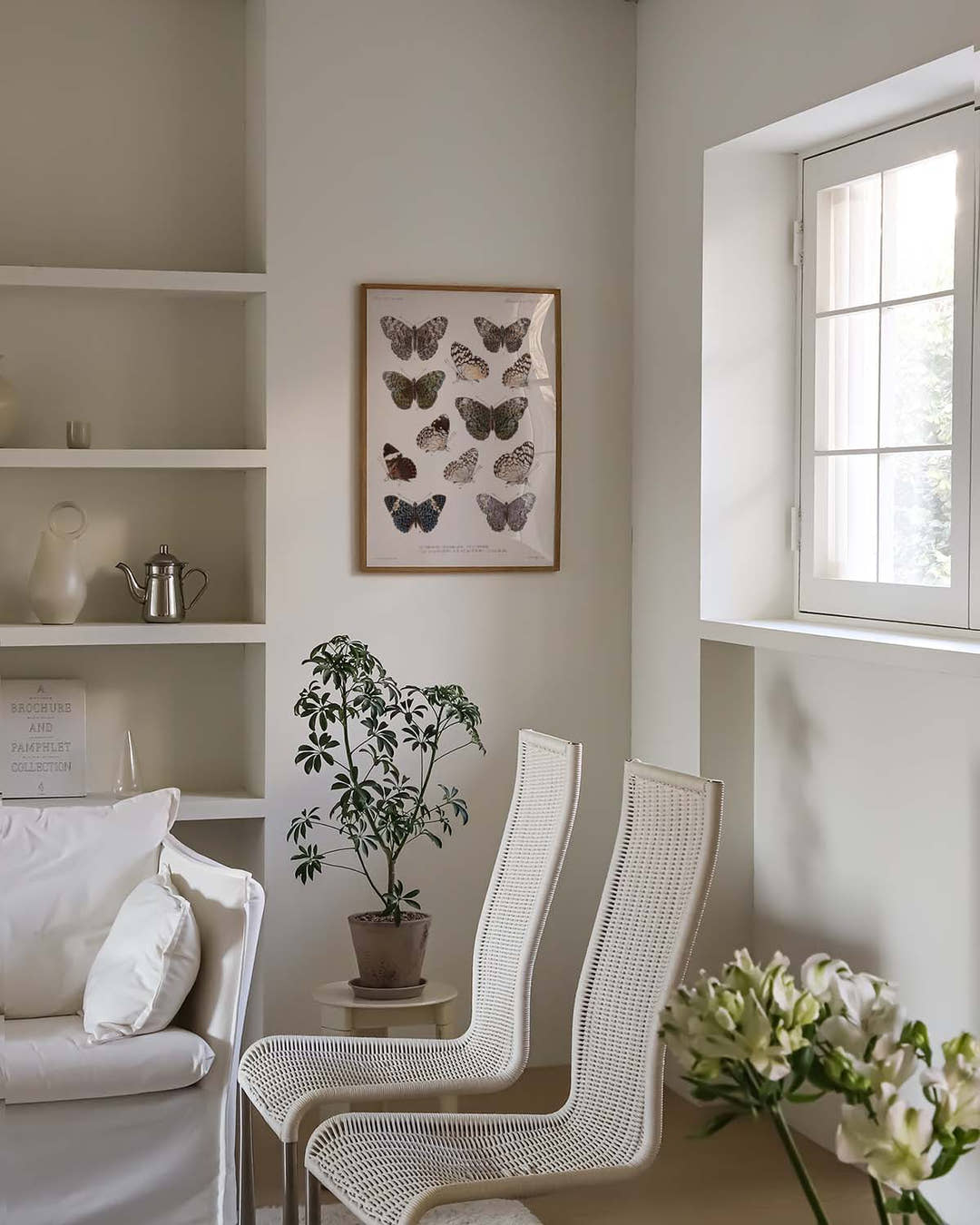 Schmetterlings Poster Sammlung – Moth Collection