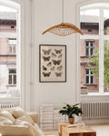 Schmetterlings Poster Sammlung – Moth Collection