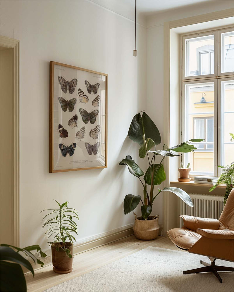 Schmetterlings Poster Sammlung – Moth Collection