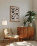 Schmetterlings Poster Sammlung – Moth Collection