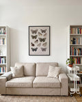 Schmetterlings Poster Sammlung – Moth Collection