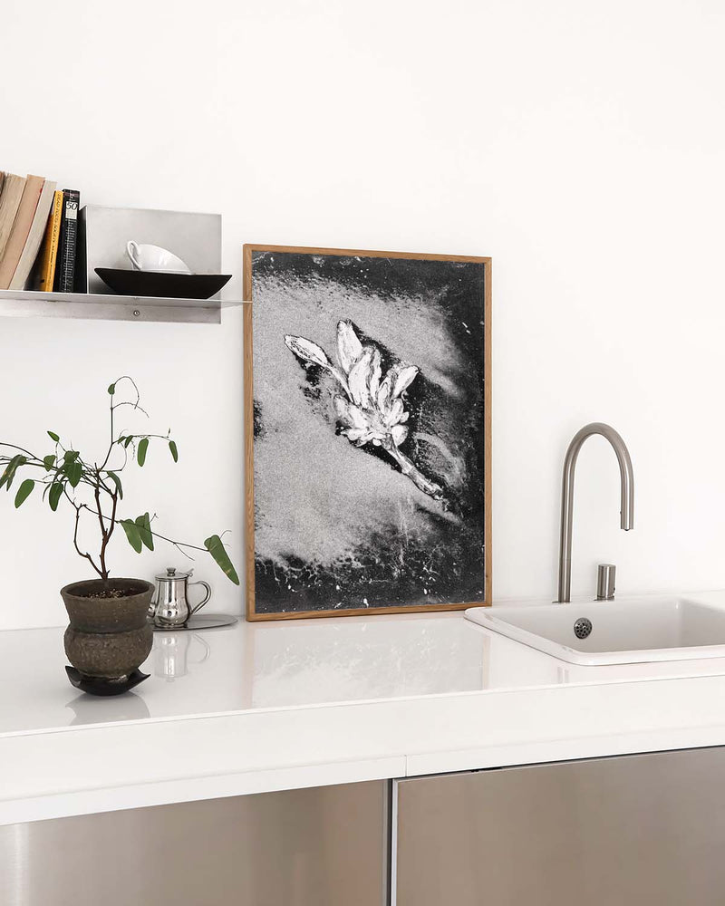 Schwarz Weiß Blumen Poster abstrakt – Soft Bloom