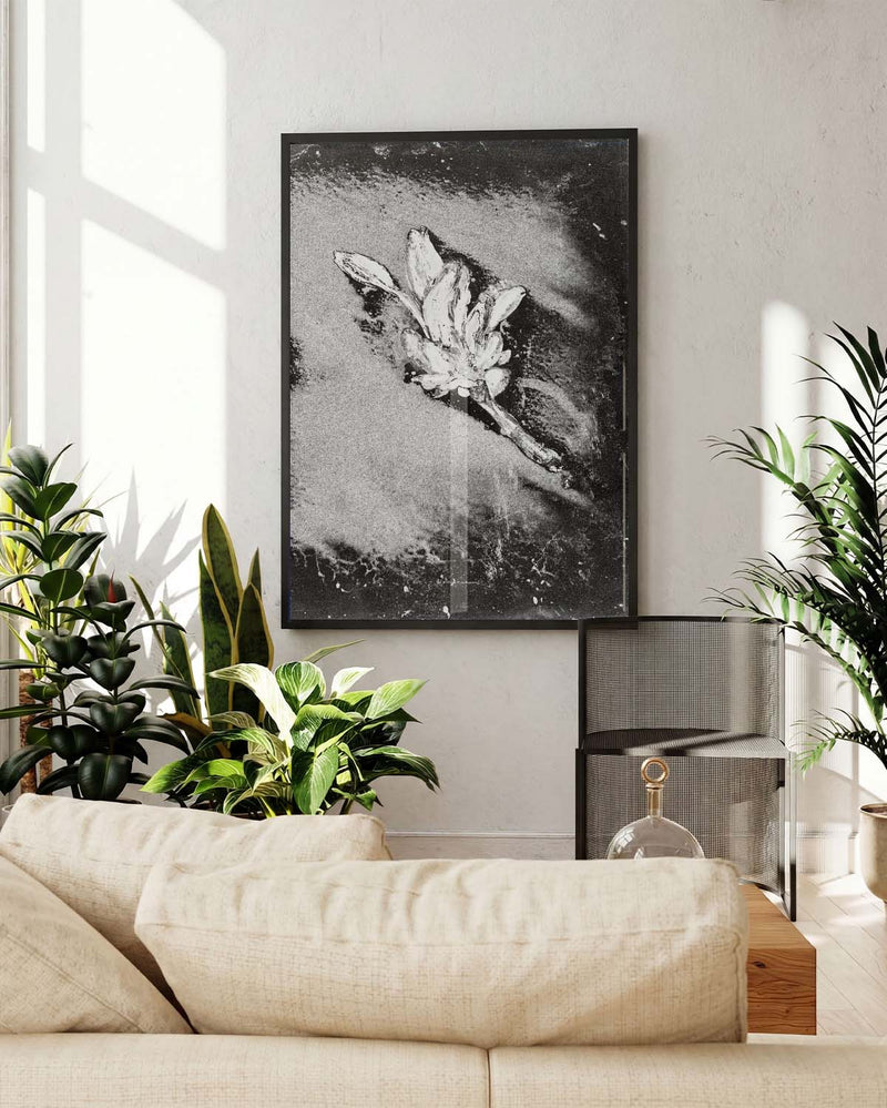 Schwarz Weiß Blumen Poster abstrakt – Soft Bloom