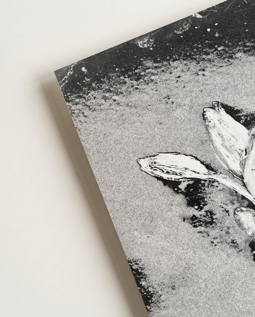 Schwarz Weiß Blumen Poster abstrakt – Soft Bloom