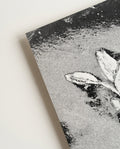 Schwarz Weiß Blumen Poster abstrakt – Soft Bloom