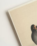 Vogel Poster minimalistisch – Standing Bird