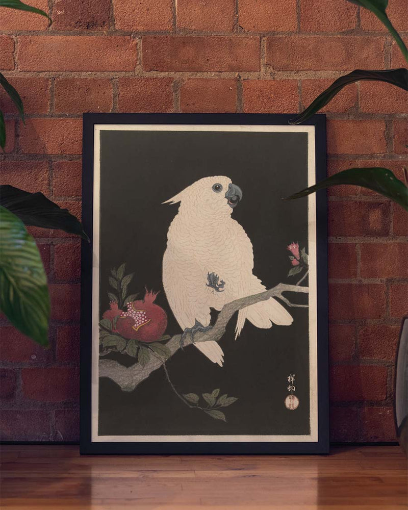 Vogel Poster Nacht modern – White Bird Night