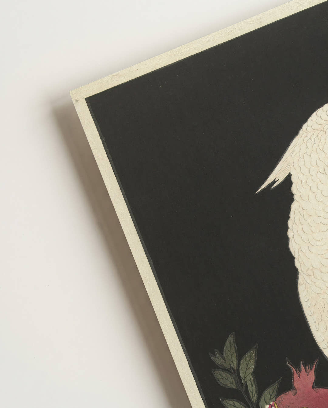 Vogel Poster Nacht modern – White Bird Night