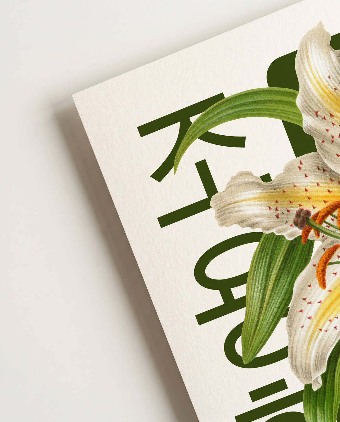 Quiet Sun | Botanical Asia Art Poster