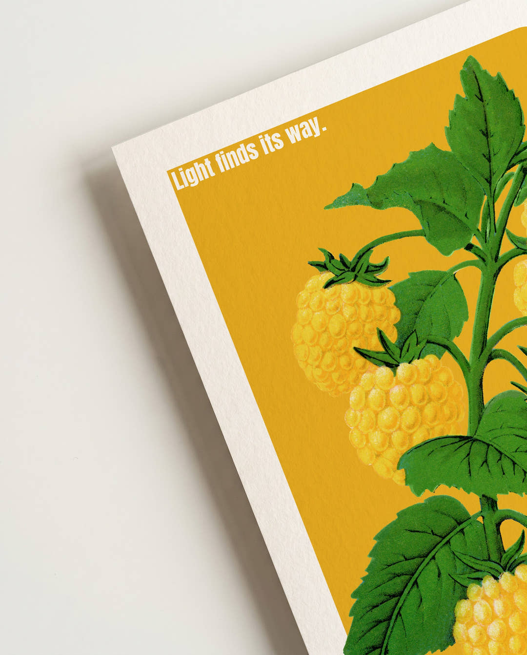 Springlight | Botanical Asia Art Poster