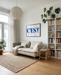 C’est bien | Typografie Poster