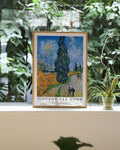 Route avec cyprès et étoile Poster – FineArt Wandbild, moderne Kunst & Fine Art Print von Spawnd, handgefertigt & Made in Germany